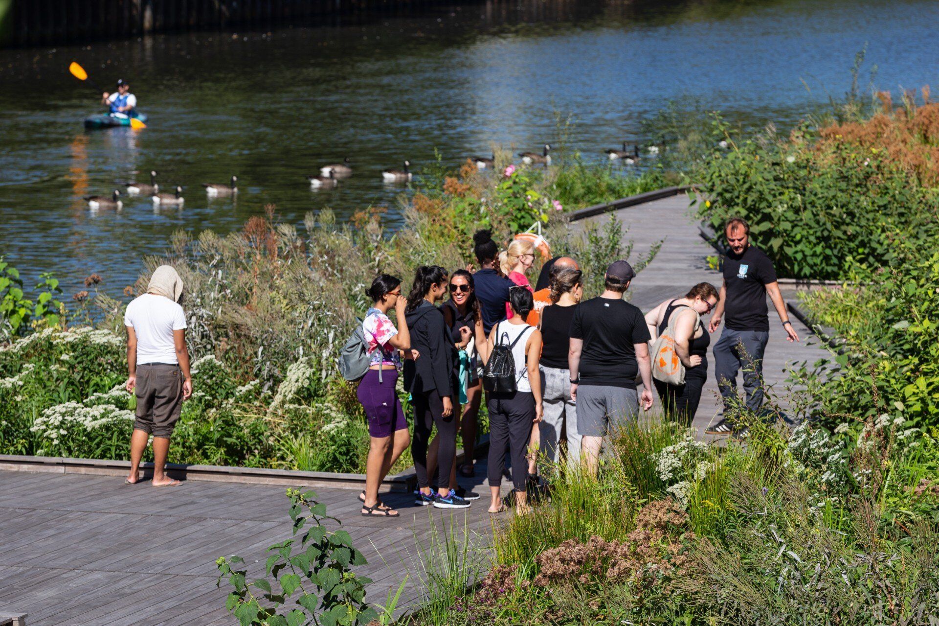 Image of a group of people standing on a boardwalk surrounded by greenery with a river in the back.