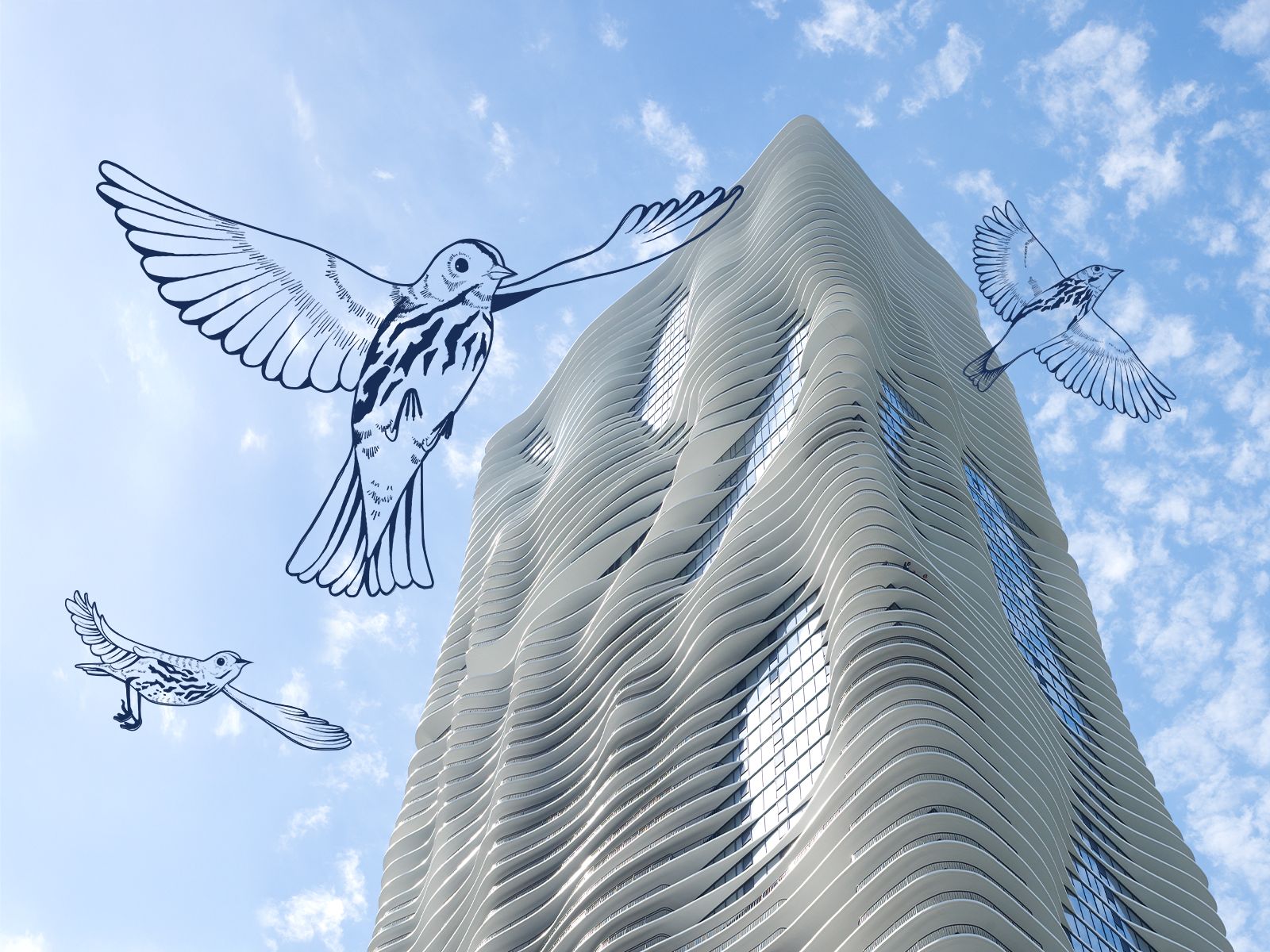 No image description available.