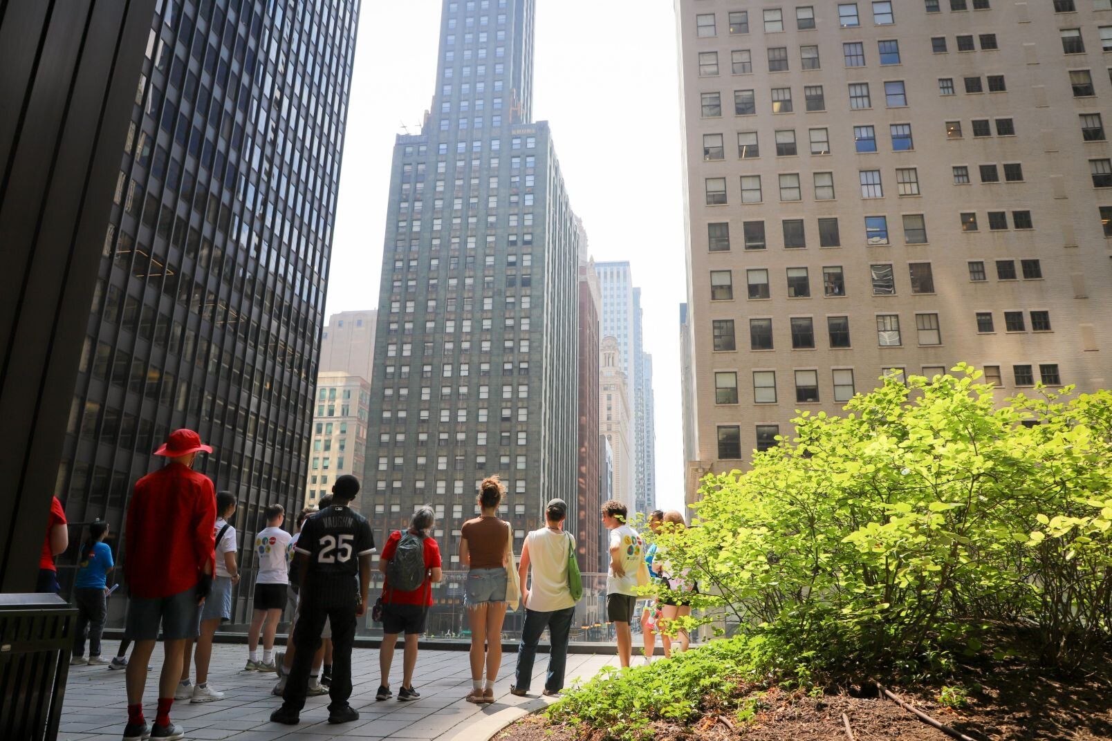 Image of a group of people on the left facing away and looking at tall buildings in the background with greenery on the right in the foreground.