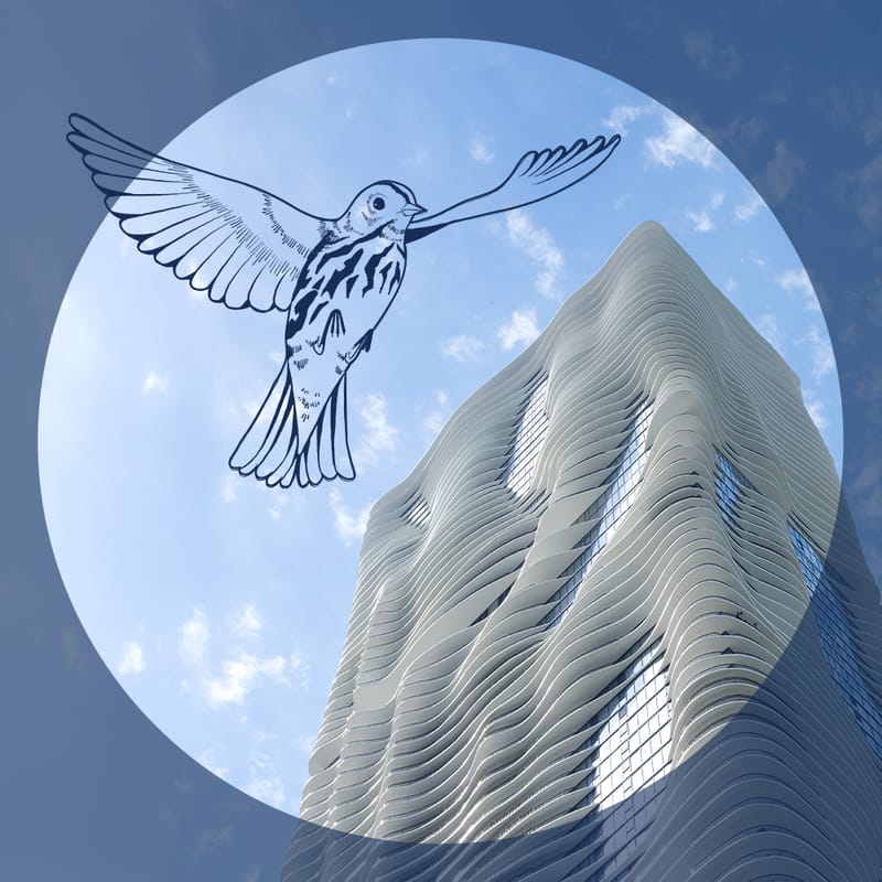 No image description available.