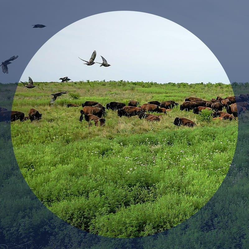 No image description available.