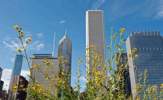 A photo of buildings in Chicago