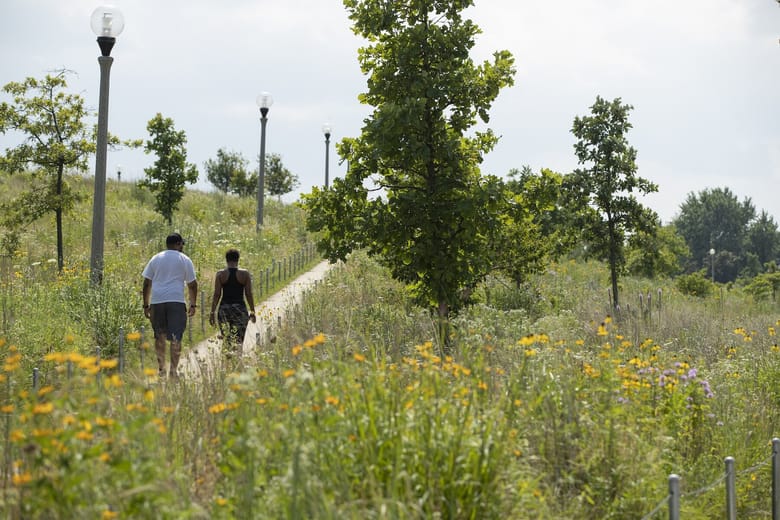 Two people walking on a path in a lush green field.