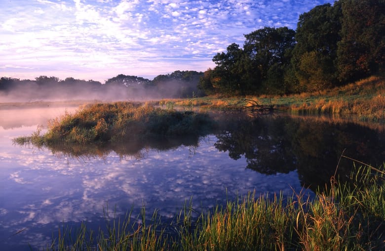 Large pond with a reflection of the purple sky.