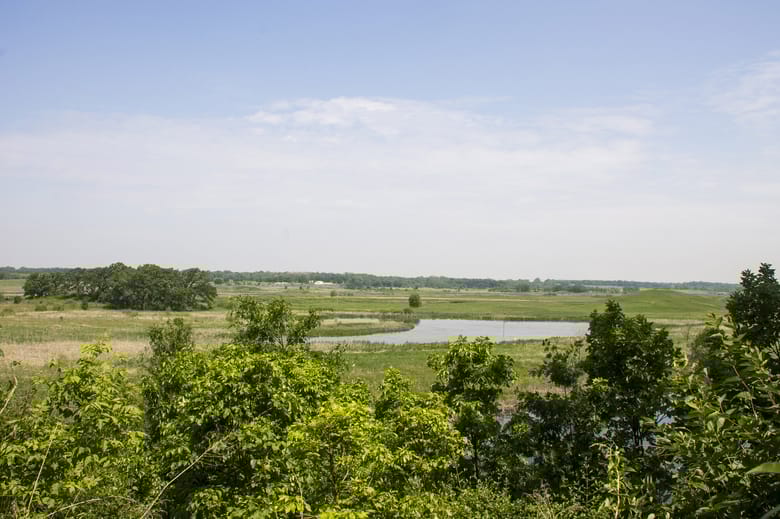 A field with water on a sunny day.