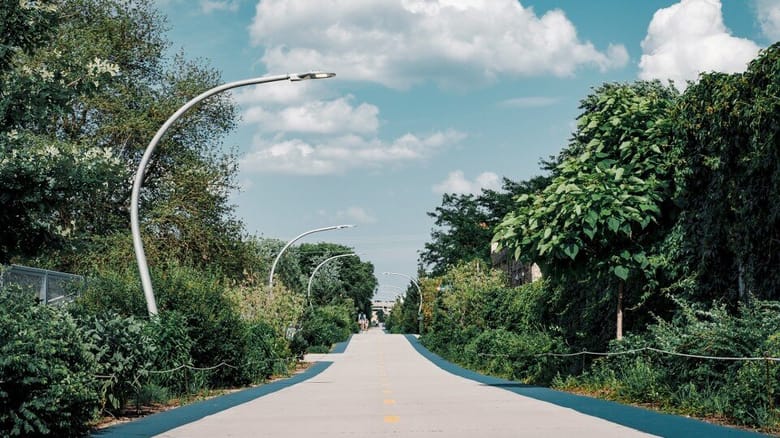 Tree-lined elevated bike and walking path 
