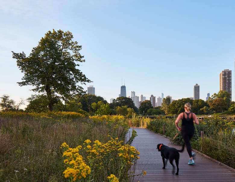 woman and a dog running on a nature boardwalk.