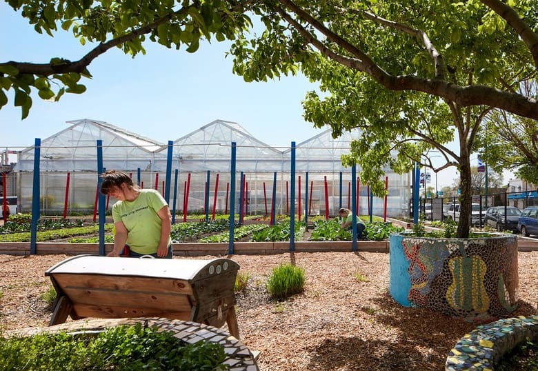 Woman kneeling down tending to plants with an outdoor garden in the background.