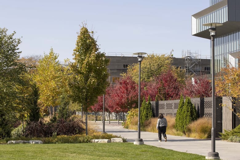 A pedstrian walkway with surrounding greenery.