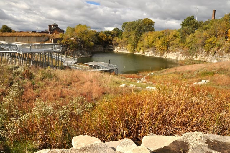 An autumn colored pond with yellow grass around it.