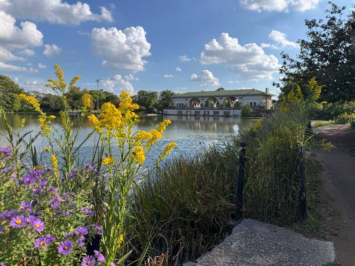 No image description available.