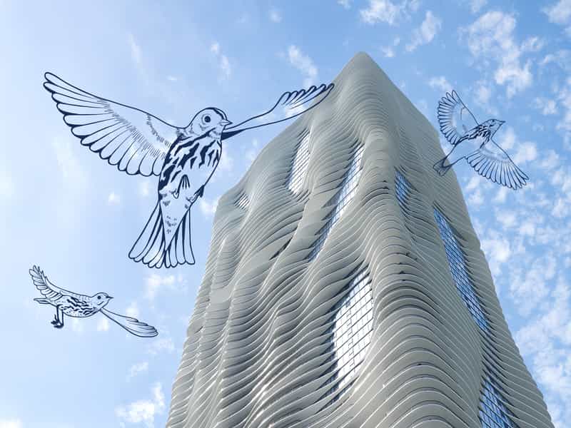 No image description available.