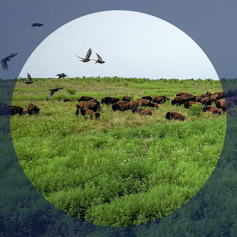 No image description available.